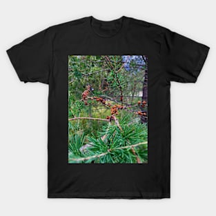 Tamarack T-Shirt